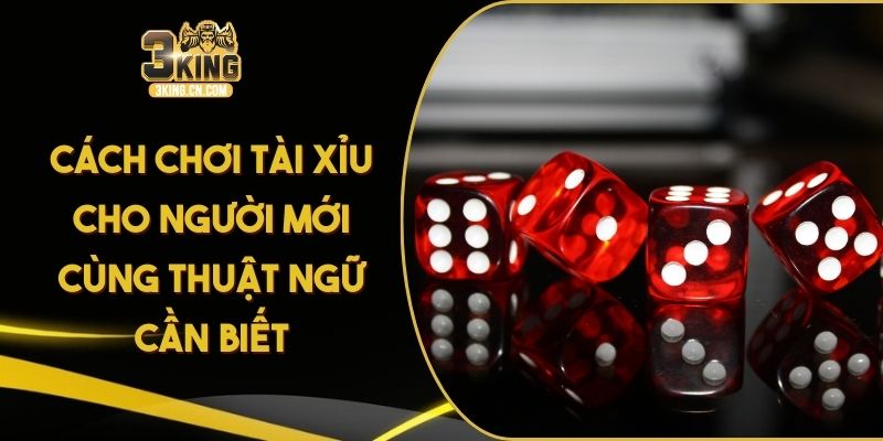 Cách Chơi Tài Xỉu