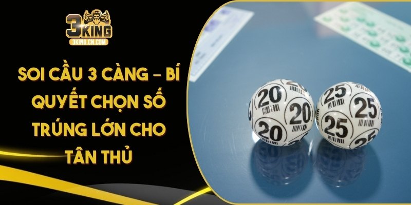 Soi Cầu 3 Càng