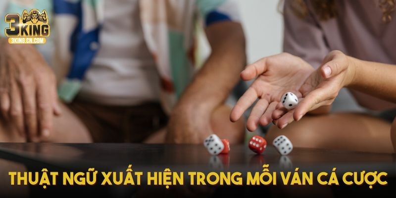 Thuật ngữ xuất hiện trong mỗi ván cá cược